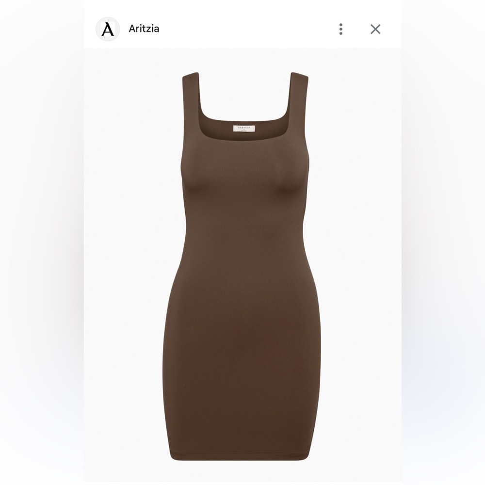 Aritzia Babaton Dress